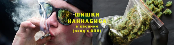 шишки Бугульма