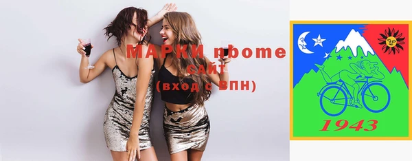 индика Нижний Тагил