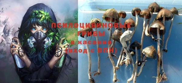 шишки Бугульма