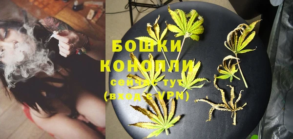 прущая мука Бородино