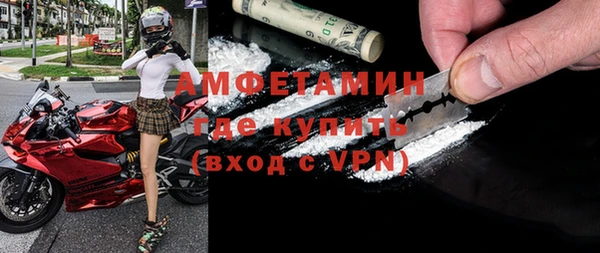индика Нижний Тагил