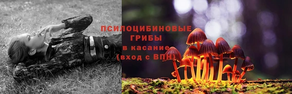 прущая мука Бородино